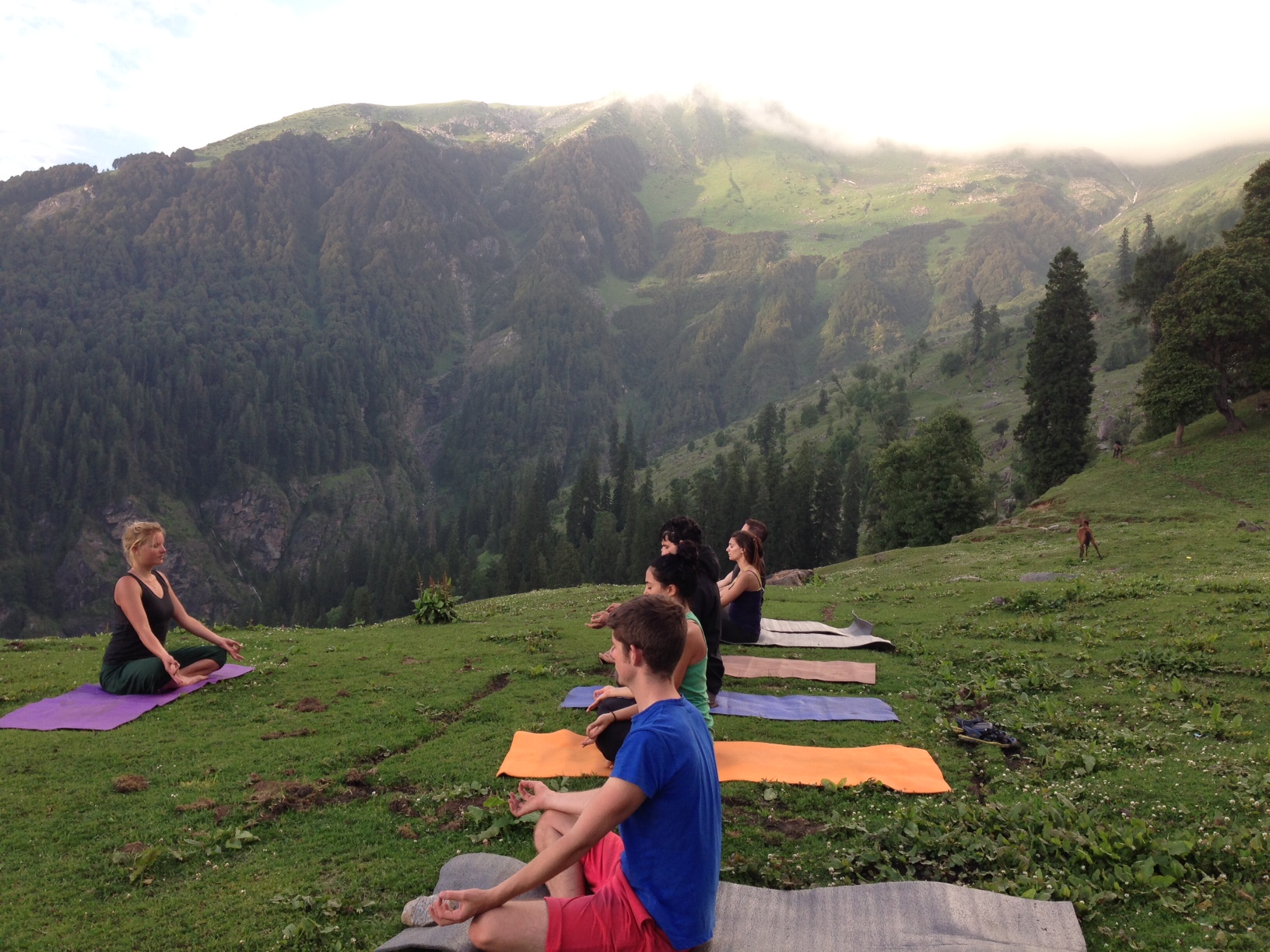 Yoga im Himalaya