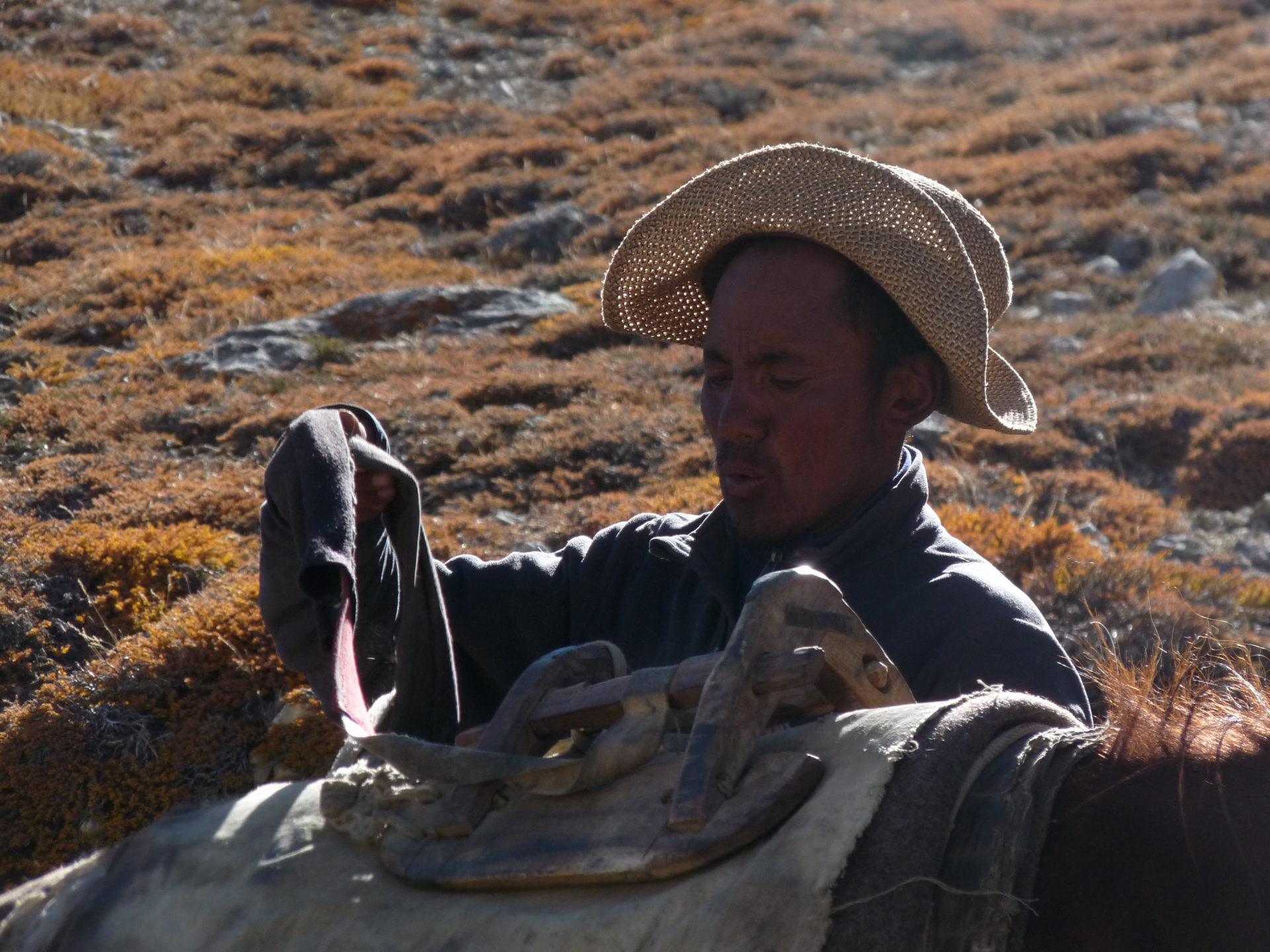 Unser ladakhische Pferdemann