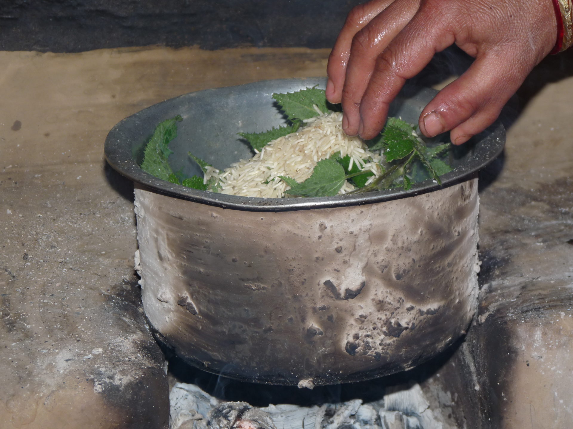 Brennnesseln mit Reis aufkochen