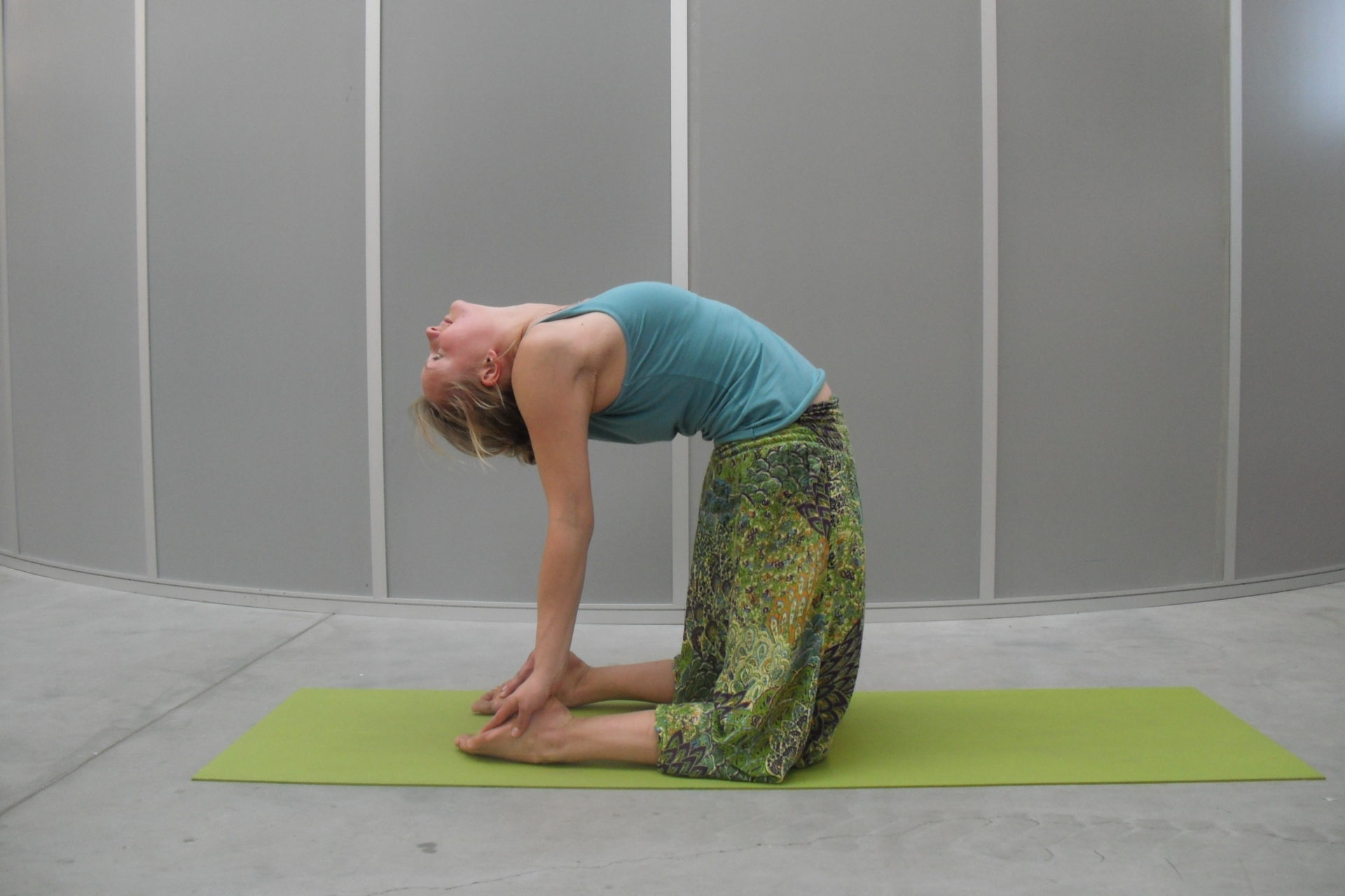 Ustrasana