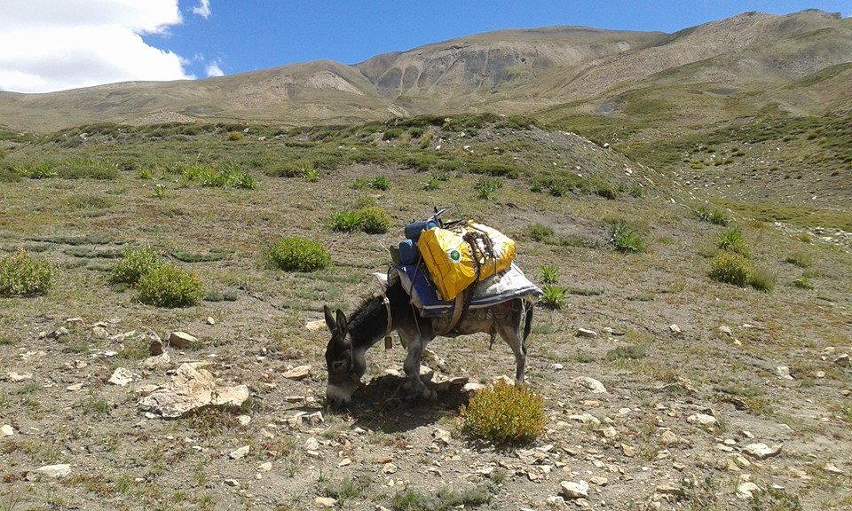 Auf dem Weg zum BAsecamp- wir machten die Tour allerdings ohne Lastesel