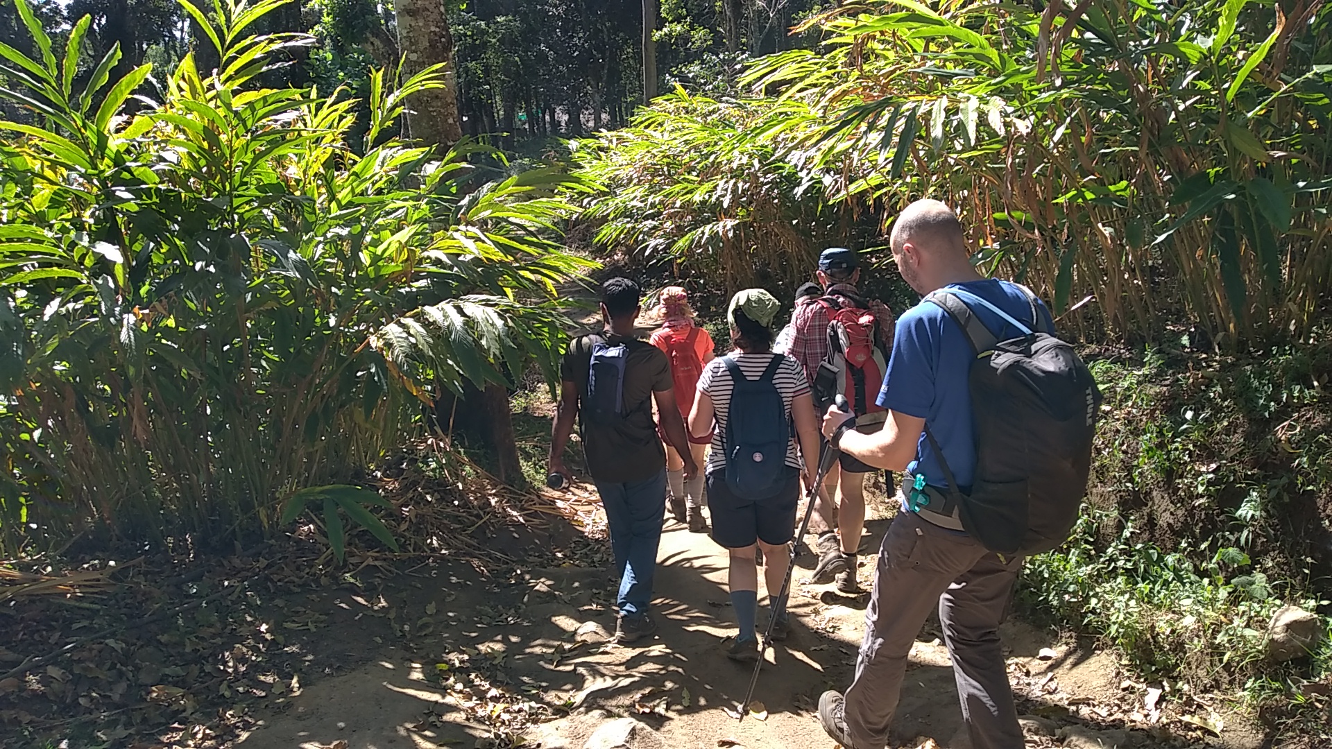 Yoga urlaub weihnachten 2022